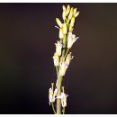 경안천습지생태공원 이미지