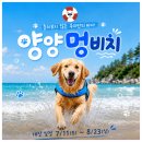(주)멍비치