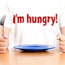 포레스트 다이어트 이미지