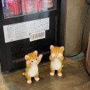 냉천음식지구 | *진해/자은동* 명란청양크림 파스타가 맛있었던 브런치 카페 heyho-! (내돈내먹 솔직 후기)