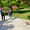 안중동물병원 이미지