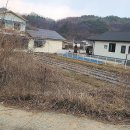 부용농장 Daum카페