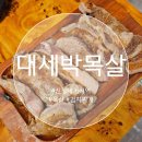 대세박목살신정네거리역점