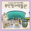 부안 줄포만 노을빛 정원 족구장 | 6세 아이와 소노벨 변산 실내 체험 부안 청자박물관 ft. 도예 체험 AR 미션