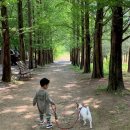 숲속에서 캠핑장 이미지