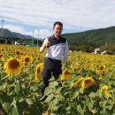 병점3로 1L(3->종점) | 해바라기길 산책 시간 그늘 벤치 위치 휴식 포인트 알아보기