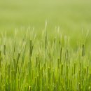 운동장길(정하동) 이미지