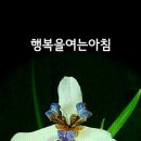 행복한하루 이미지