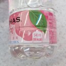 지에스25(GS25)금강로하스점 | GS25 일로하스 피치 후기(이로하스/일본 복숭아물)