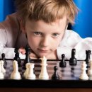 두뇌발달체스 이미지