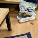 제주 남원 현지인 두루치기 맛집 희야네식당 주차장 웨이팅