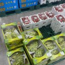 수완소담공인중개사사무소 | 세종시 소담동 싱싱장터 오픈/ 싱싱장터 후기/ 싱싱장터 수산물