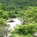 덕유대자동차야영장 이미지