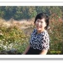 호암체육관 체육관 이미지