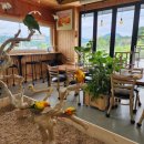 순창 앵무새팜 이미지