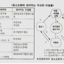 올바른 비료의 선택과 사용 이미지