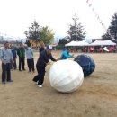 제원초등학교 이미지