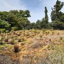 서귀포남원공인중개사사무소 이미지