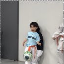 거룡태권도2관 이미지