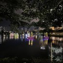 개포로88길(한뜻길) | 가을 겨울 그 어디쯤