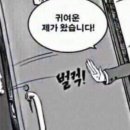 장미카페 이미지