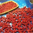 김가네농장 이미지