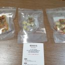 해피아지 이미지