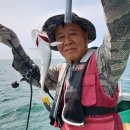 미성프라자 이미지