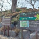 여수 향일암(죽포리-봉황산-율림치-금오산-향일암-향일암 임포주차장) 이미지