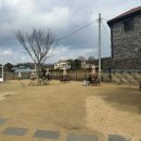 청주 애견운동장 애견카페 | 멍반도 | 후기