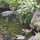 왕주먹고기 | [20240605] 용산 럭키호프, 마라돈왕주먹고기 그리고 노들섬 내돈내산 후기후기