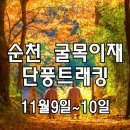 [클릭하세요] 숨겨진 원시림 단풍트래킹! 선암사~송광사 굴목이재 [28인승 리무진] 이미지