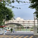 아주초등학교병설유치원 이미지