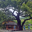 용두3리 마을회관 이미지