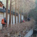 청도 천문사 배넘이재 북릉 가지산 쌀바위 운문령 이미지