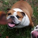 알콩달콩 이미지