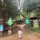 연제고등학교 | 부산 배산 편백유아숲터 숲체험이 가능한 자연 속 놀이터