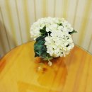 프렌즈하우스펜션 이미지