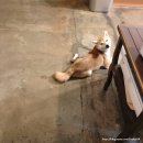 위드모데스티 | [카페] 대구 수성구 지산동 : with Modesty(위드 모데스티) 방문 후기