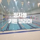 키튼코리아 이미지