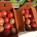 수연농장 이미지