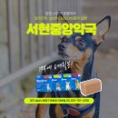 분당서현약국 이미지