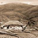 고향에봄 이미지