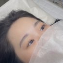 베르뷰티