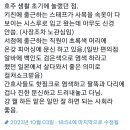 호주 생활 초기에 놀랬던 점 : 남의 옷에 아무도 신경 안씀 이미지