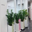 월성탑한의원 이미지