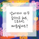 강동동물병원 이미지