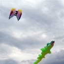 장성공설운동장 11 이미지