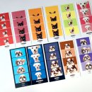 인생멍컷 이미지