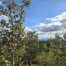 평화교통정비 | 치앙마이 3박5일 택시투어 파처 협곡 후기